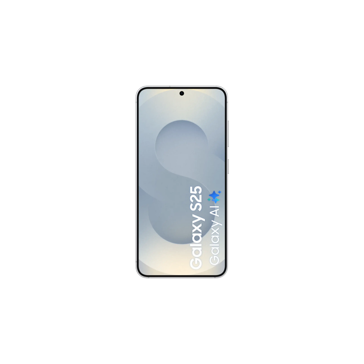 Samsung Galaxy S25 5G - Silver Shadow