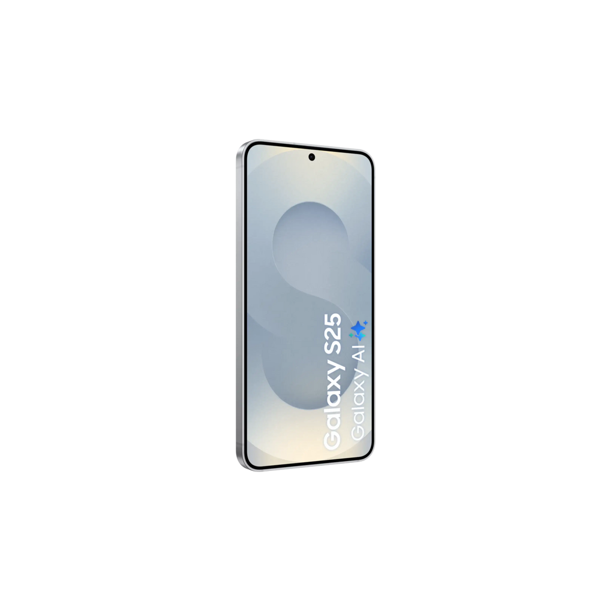 Samsung Galaxy S25 5G - Silver Shadow